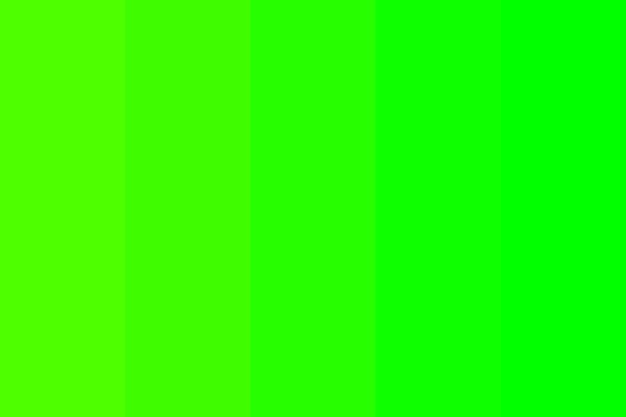 Everything about the color Neon Green